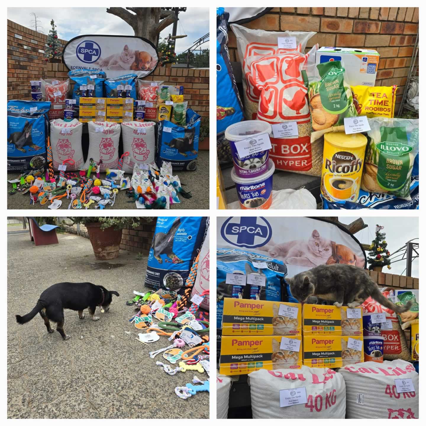 SPCA Edenvale